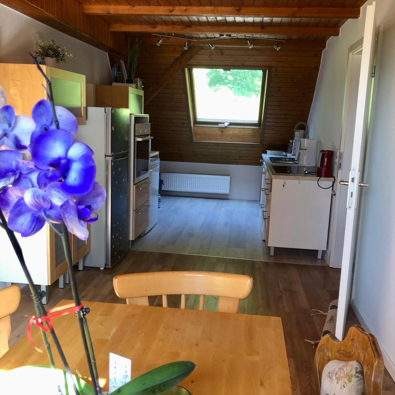 Hotel Ferien Im Schwarzwald Freiamt Esterno foto