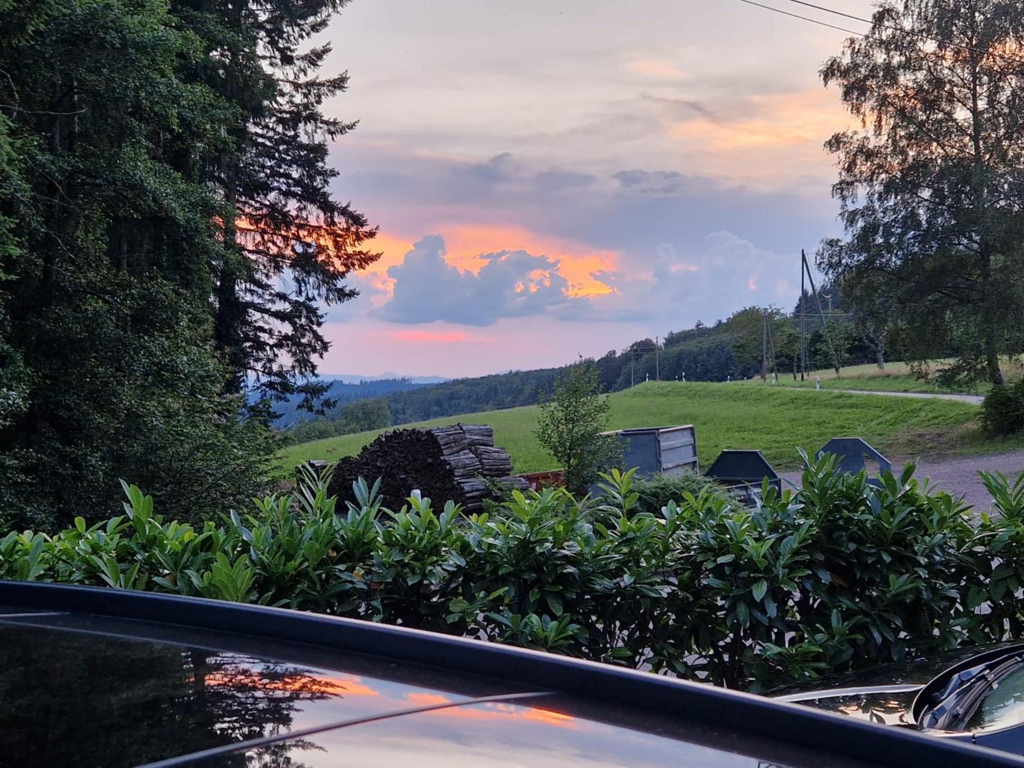 Hotel Ferien Im Schwarzwald Freiamt Esterno foto
