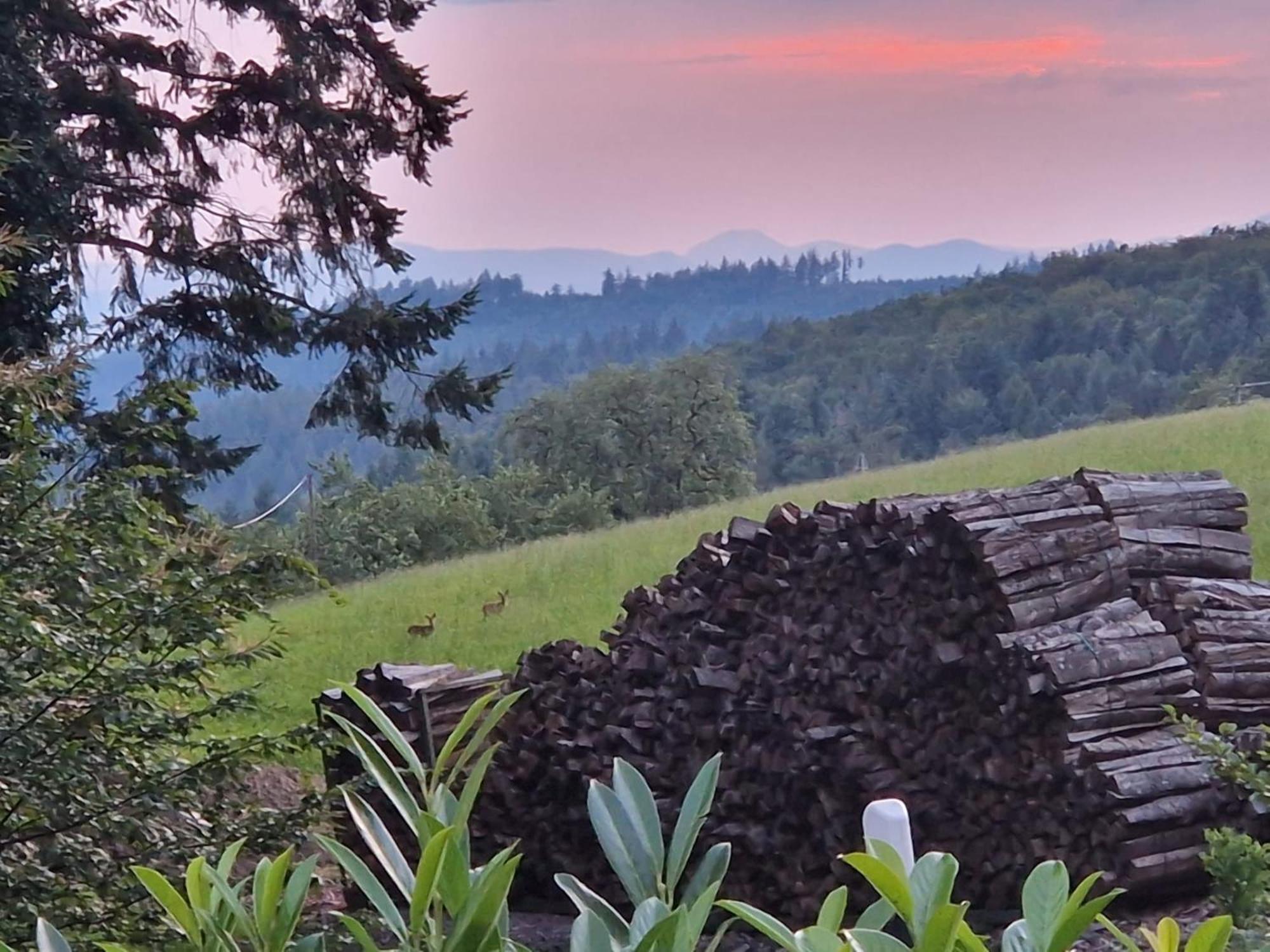 Hotel Ferien Im Schwarzwald Freiamt Esterno foto