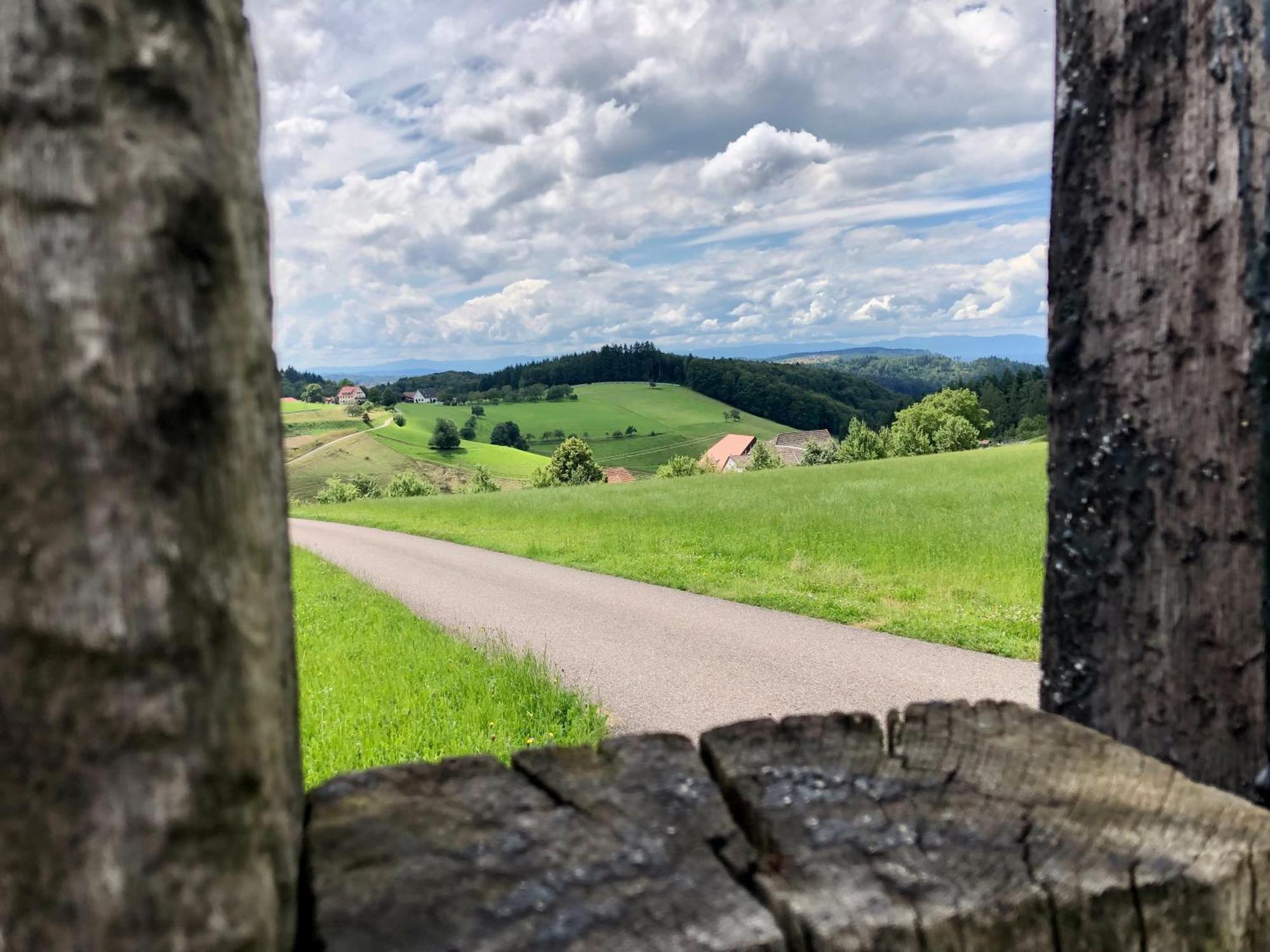 Hotel Ferien Im Schwarzwald Freiamt Esterno foto