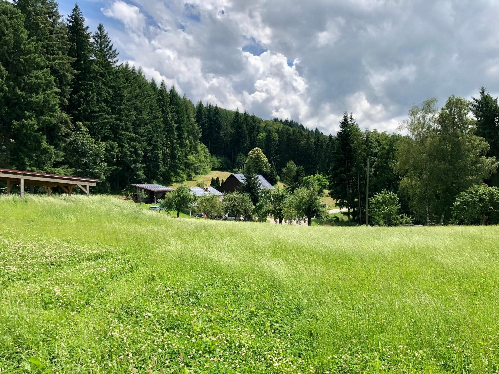 Hotel Ferien Im Schwarzwald Freiamt Esterno foto