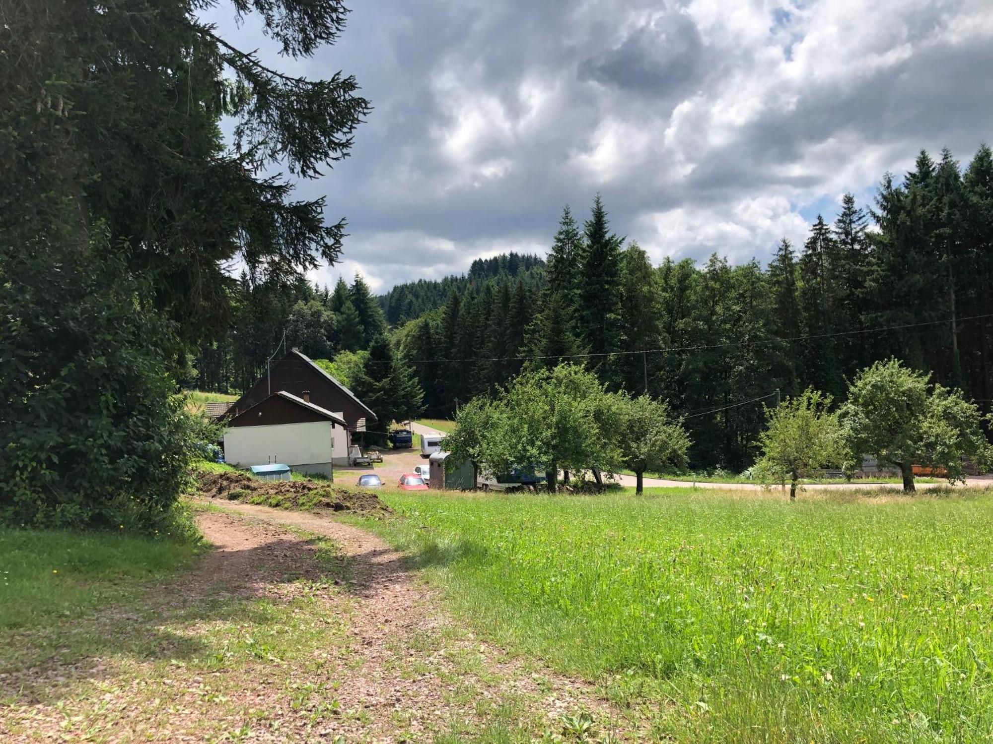 Hotel Ferien Im Schwarzwald Freiamt Esterno foto