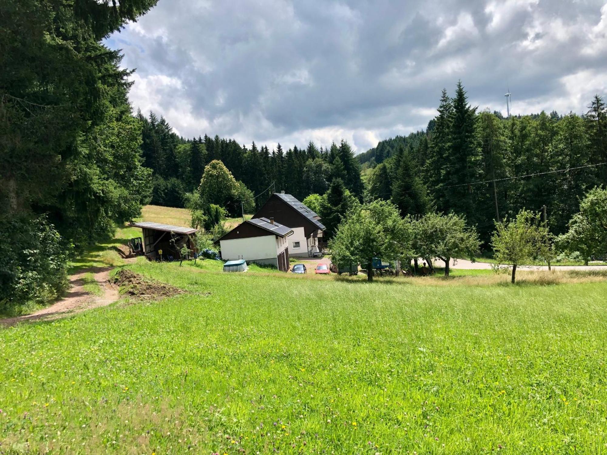Hotel Ferien Im Schwarzwald Freiamt Esterno foto