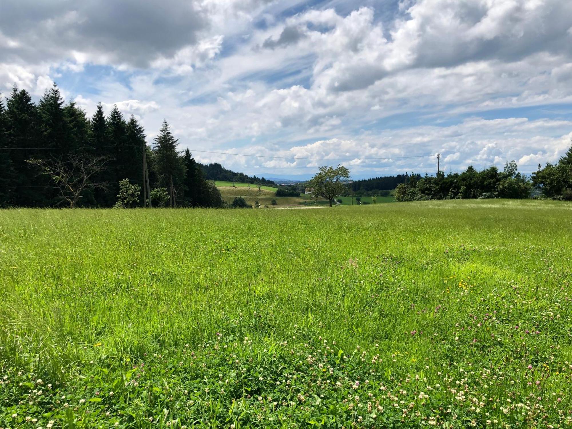 Hotel Ferien Im Schwarzwald Freiamt Esterno foto