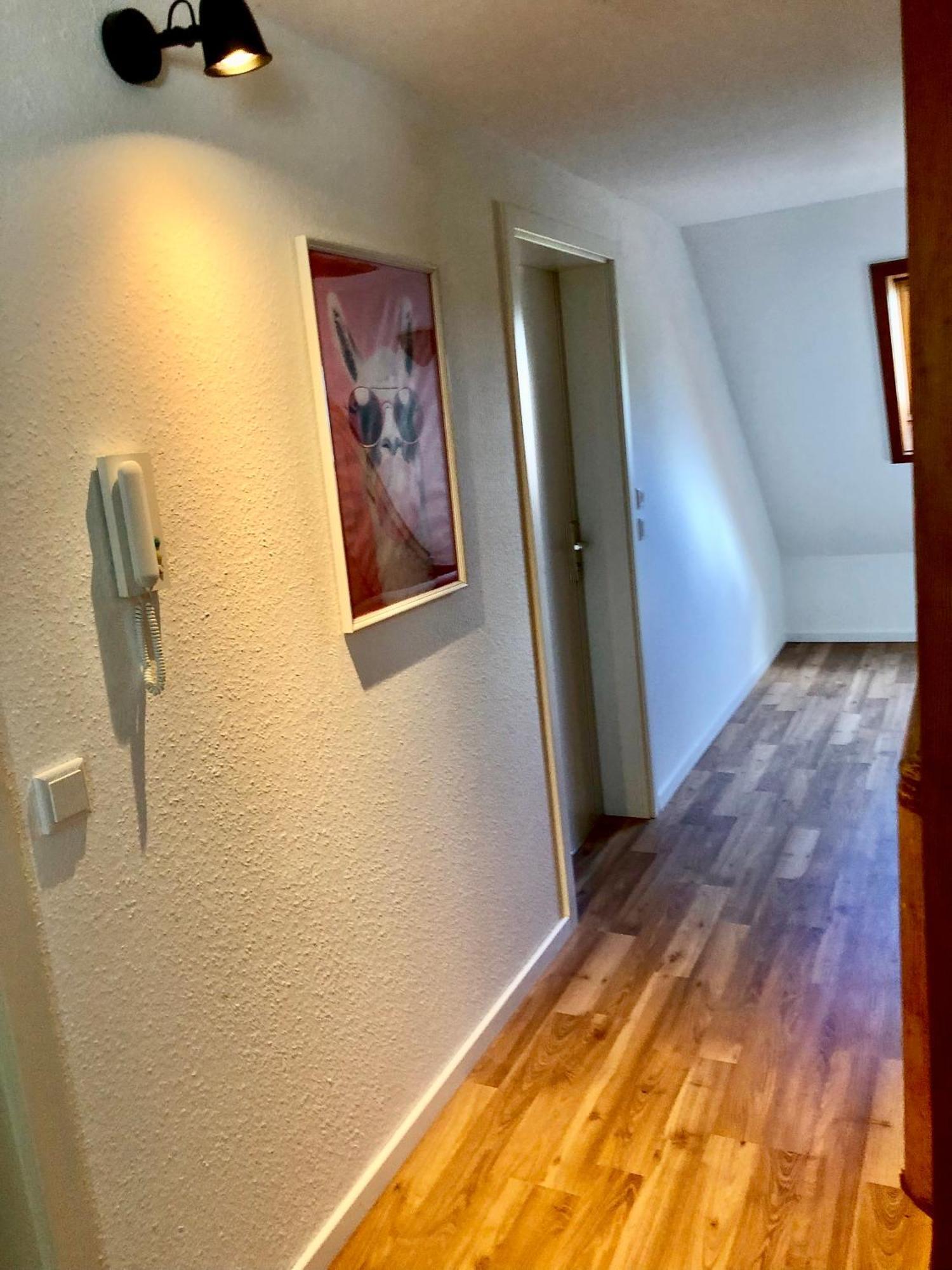 Hotel Ferien Im Schwarzwald Freiamt Esterno foto